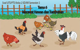 Soal uts sd kelas 1, 2, 3, 4, 5, 6 semester 2. Soal Uts Pts Kelas 2 Sd Mi Semester 2 Tema 6 Merawat Hewan Dan Tumbuhan Contoh Rpp Sd Dan Soal Sd