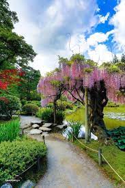 Photograph Seattle Japanese Garden By Shadowlight Photography On 500px 500px G 500px Garde Seattle Japanese Garden Japanese Garden Japanese Garden Design