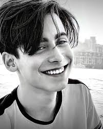 The list includes people like arnold schwarzenegger, aamir khan, anthony ramos, ashton kutcher, al pacino and many more. Aidan Gallagher Imdb