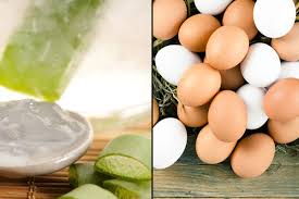 7 Diy Aloe Vera Hair Masks That Boost Hair Growth And Increase Volume 7 diy aloe vera hair masks that boost