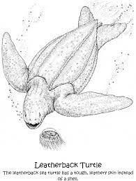 We did not find results for: Leatherback Sea Turtle Coloring Free Animal Coloring Pages Sheets Leatherback Sea Turtle