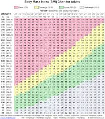 Is Your Bmi Making You Unhealthy Teal Talk Its About To