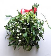 45 fabulous christmas wedding bouquets. Christmas Wedding Bridal Bouquets Lovetoknow