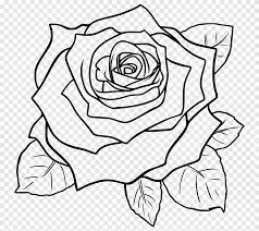 Want to discover art related to bunga? Menggambar Rose Line Art Sketsa Pensil Rose Putih Daun Png Pngegg