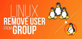 This Tutorial Shows How To Remove A User From A Group In Linux Learn Two Methods And Also Manually Remove The User From The Group In 2020 How To Remove Linux Users