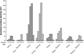 Image result for Polystachya heckmanniana