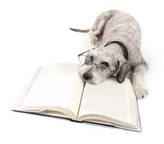 Kopek Ve Kitap Dog And Book With Images Dog Books Animal Behavior Animal Books