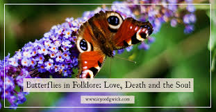 Yellow butterflies represent a new life in many cultures. Butterflies In Folklore Love Death And The Soul Icy Sedgwick