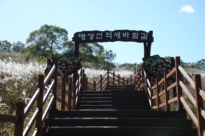 포천 산정호수 명성산 억새꽃축제 写真 4
