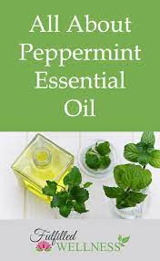All About Peppermint Essential Oil Fulfilledwellness Com Peppermint Essential Oil Peppermint Health And Nutrition