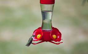Bring the solution to a boil, then let it cool before filling the feeder. How To Clean A Hummingbird Feeder