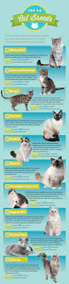 House Cats Cat Health Kittens And More Lovetoknow Cat Breeds Cat Breeds Siamese Dog Cat