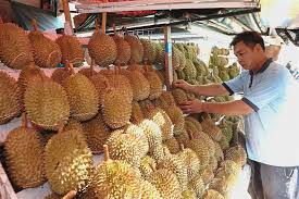 Information for chinese new year 2018 on penang. Bumper Crop Of Durians In Penang The Star