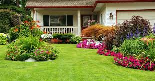 Here are the best scrap yards near you. Lawn Care Tips For Beginners