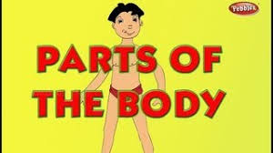 Top 10 longest body parts in world tamil | நீண்ட உடல் உறுப்புகளை கொண்ட 10 மனிதர்கள். Parts Of The Body Preschool Tamil Youtube