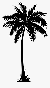 Coconut tree cartoon png download. Tree Clipart Palm Palm Tree Silhouette Hd Png Download Kindpng
