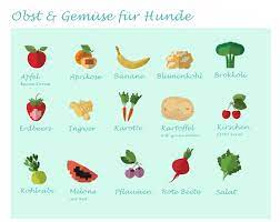 Obst Gemuse Fur Hunde Bellos De Gemuse Fur Hunde Hund Essen Obst Fur Hunde