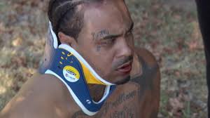 COPS (1989) season 29 Gun in the Front, Rifle in the Back Reviews