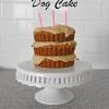 This quick and easy dog cake recipe is perfect for celebrating your pup's birthday or spoiling them, just because! Https Encrypted Tbn0 Gstatic Com Images Q Tbn And9gcq0h1tgenk5mheccba7igxzvpznrz6onevn Frtcvvk5rdsfvj0 Usqp Cau