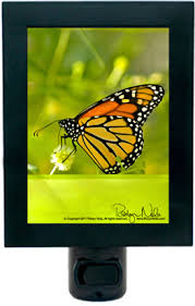 Healing Butterfly Energy Inspirational Butterfly Night Light Pet Night Lights