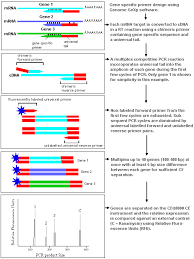 gene expression university of northern british columbia