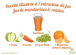 Recette Pour Un Jus De Mandarines Et Raisins Maison A Realiser Avec Votre Extracteur De Jus Horizontal Ou Recette Jus Extracteur Recette Jus Extracteur De Jus