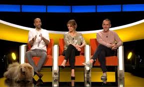 Hij zal dat machtig vinden. En Dan Speelt Er Plots Een Hond Mee In De Slimste Mens Het Nieuwsblad Mobile