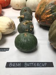 Pin On 2017 Heirloom Expo Vegetables