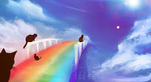 Image result for rainbow bridge . animated avatar