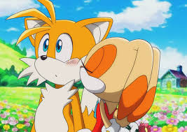 Hair on top of the scalp is grown long and is often braided, while the front portion of the head is shaved. Sonic And Tails Kissing Promotions