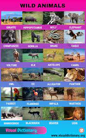 Wild Animals List Of 50 Common Wild Animals Vocabulary With Pictures Visual Dictionary Animals Name In English Visual Dictionary Animals Wild