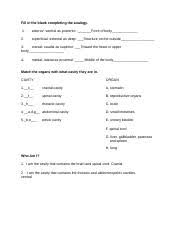 Intro to histology cells are the smallest units of life. Anatomical Terminology Worksheet Pdf Anatomical Terminology Worksheet Fill In The Blank Completing The Analogy 1 2 3 4 Anterior Ventral As Posterior Course Hero