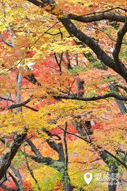 Maybe you would like to learn more about one of these? Kuil Kyoto Shisendo Jousanji 36 Penyair Cina Menetap Di Taman Jepun Cinta Perjalanan Sejarah