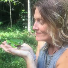 Kambo Soul Medicina (@kambosoulmedicina) • Facebook