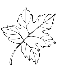 Ausmalbilder Blatter 60 Bilder Zum Kostenlosen Drucken