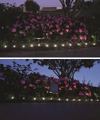 Plant And Border Solar Light String