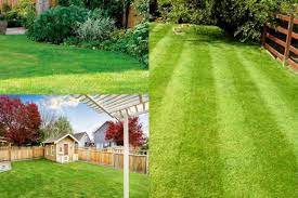 How Much Do Lawn Services Cost Price Guide 2021 In 2021 Lawn Service Lawn Maintenance Lawn