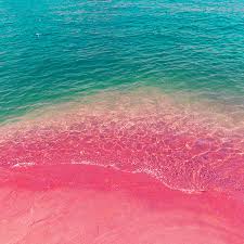 We have a lot of different topics like nature, abstract and a lot more. Np20 Sea Water Beach Summer Nature Pink Wallpaper