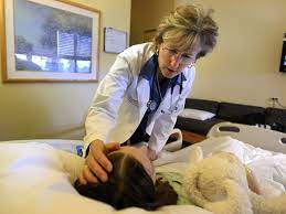 As Palliative Care Need Grows Specialists Are Scarce Palliative Care Medical Therapy Holistic Care