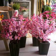 Check spelling or type a new query. Jual Bunga Sakura Hias Bunga Imlek Hiasan Imlek Sakura Dekorasi Rumah Hiasan Rumah Bunga Vas Bunga Pot Bunga Di Lapak Mirza Florist Bukalapak