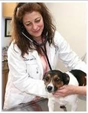County line veterinary hospital awards & accolades. About Veterinary Hospital Hatboro Pa County Line Veterinary Hospital