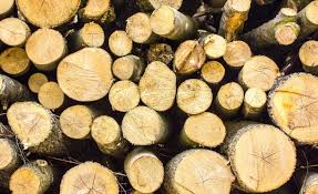 I have taken a picture of front and back. How To Sell Your Timber Base Camp Leasing