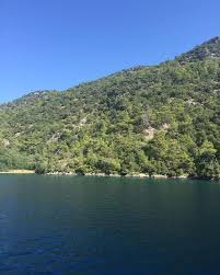 Mavi Tur Gulet Kiralama Panosundaki Pin