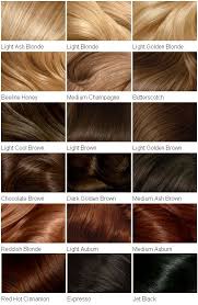Hair Colour Chart More My Blog