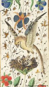 Book Of Hours Ms M 152 Fol 69r Images From Medieval And Renaissance Manuscripts Medieval Art Medieval Books Bird Art