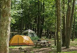 Best camping in myrtle beach on tripadvisor: Rhode Island State Parks