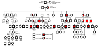 Haemophilia Pedigree Chart Royal Family Bedowntowndaytona Com