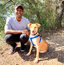The biggest vaccination campaign in history has begun. Should You Get A Dog Or Cat Stories Of Pet Ownership In The Pandemic Shots Health News Npr