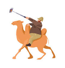 Camel cartoon , villain camel, man riding on camel illustration png clipart. Cartoon Man Riding Camel Vector Images 79