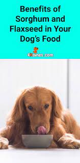 Benefits Of Sorghum And Flaxseed In Your Dog S Food Dog Food Recipes Make Dog Food Can Dogs Eat